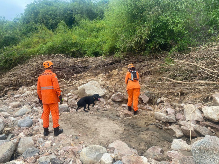Bombeiros mantêm buscas por homem desaparecido após acidente entre SE e AL