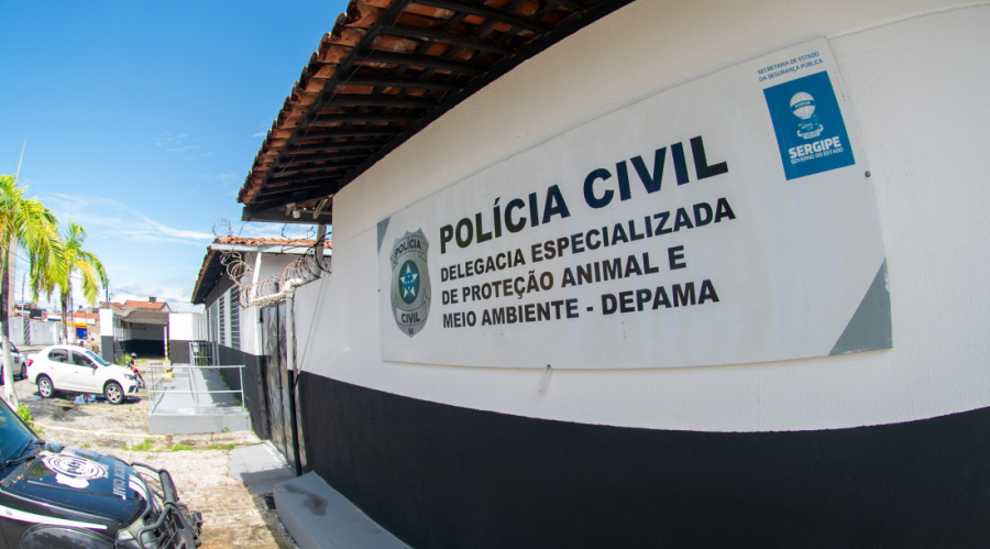 Depama registra aumento de 30% nas denúncias de maus-tratos e intensifica ações