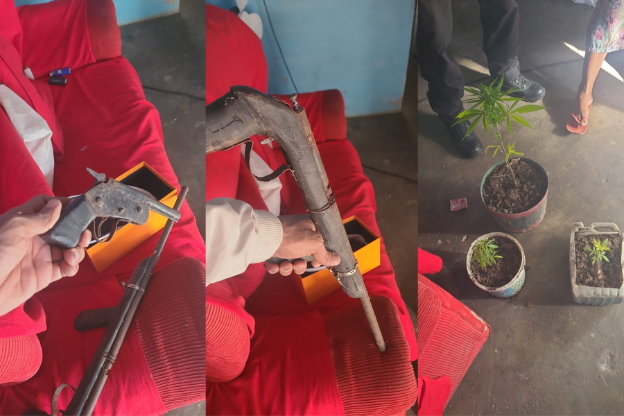 Polícia Civil prende homem e apreende armas artesanais e pés de maconha em Santa Luzia do Itanhy