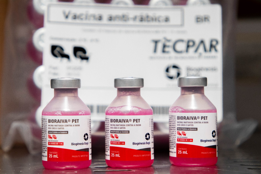 Saúde de Sergipe distribui 350 mil doses de vacina antirrábica animal aos municípios